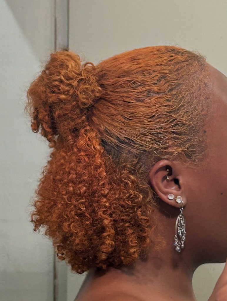 Half-up half-down natural hairstyle with defined curls fall hairstyle for natural hair 