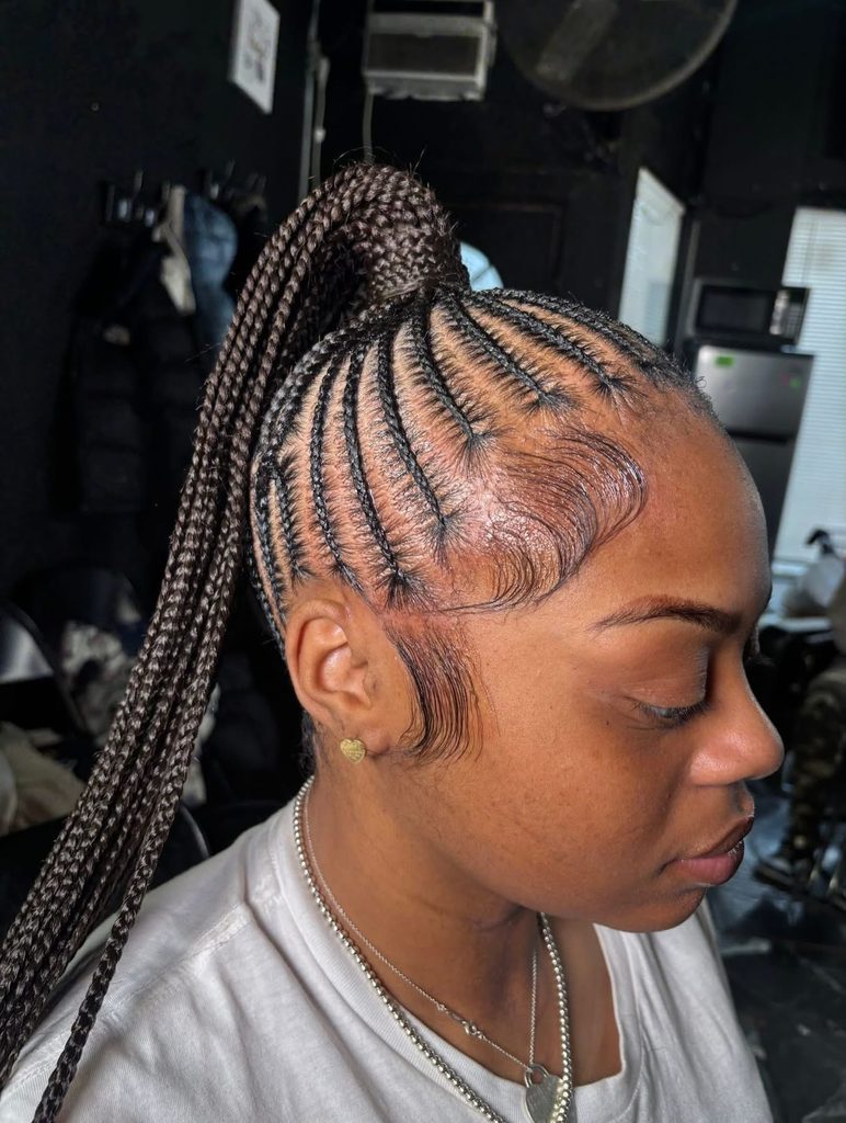 braided ponytail hairstyles