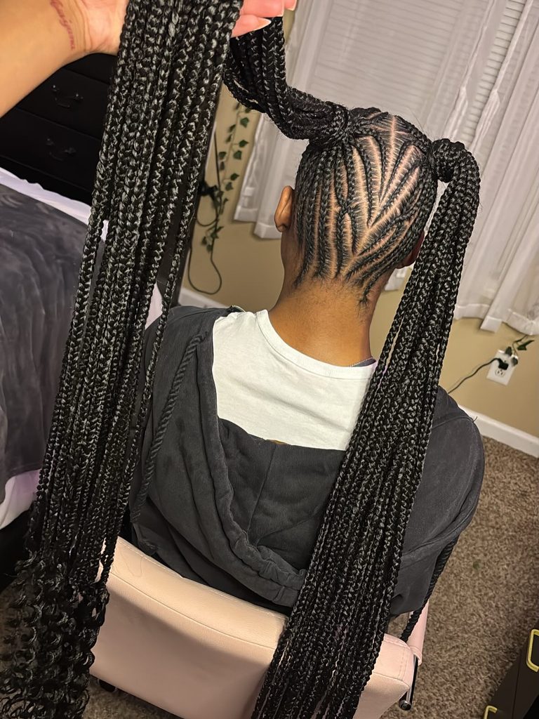 Two braided ponytails with intricate feed-in braid patterns and sleek baby hairs